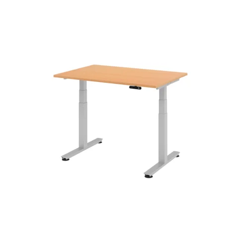 Elektrisch höhenverstellbarer Schreibtisch mit Memoryschalter 120 x 80 cm Buche/Silber