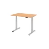 Elektrisch höhenverstellbarer Schreibtisch mit Memoryschalter 120 x 80 cm Buche/Silber
