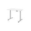 Elektrisch höhenverstellbarer Schreibtisch mit Memoryschalter 120 x 80 cm Weiss/Silber