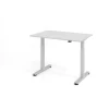 Elektrisch höhenverstellbarer Schreibtisch Eco 120x80 cm Grau/Silber