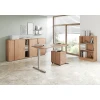 Elektrisch höhenverstellbarer Schreibtisch Eco 120x80 cm Grau/Silber