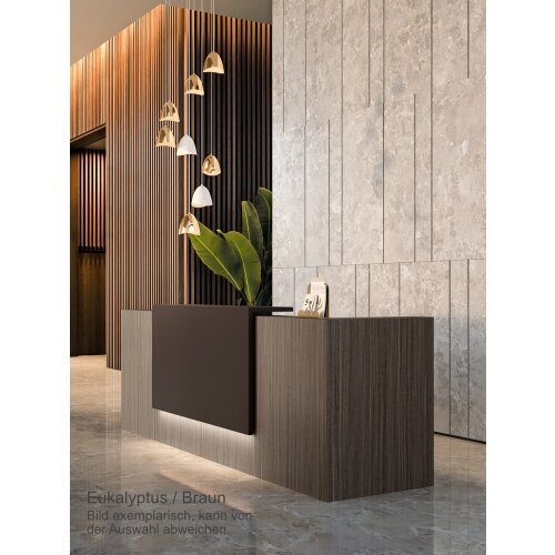 Empfangstheke Linear, Breite: 326 cm, Korpus: Beton, Ablage: schwarz RAL 9017 lackiert