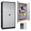 Stahlschrank 195 cm hoch, 100cm breit, 50 cm tief, Korpus: Lichtgrau, Türen: Zinkgelb, Fachböden: gepulvert in Korpusfarbe