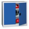 Stahlschrank 100 cm hoch, 100 cm breit, 50 cm tief, Korpus: Lichtgrau, Türen: Zinkgelb, Fachböden: gepulvert in Korpusfarbe
