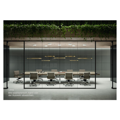 Konferenztisch mit Kufengestell Metall , 140 x  280 cm, Dekor: Ulme, Gestell: Weiss