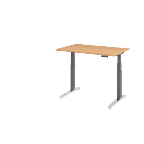 Schreibtisch elektrisch höhenverstellbar Serie DX 120x80 cm
