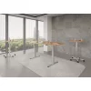 Konferenztisch elektrisch höhenverstellbar Eco