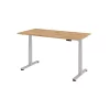 Elektrisch höhenverstellbarer Schreibtisch mit Memoryschalter 160 x 80 cm
